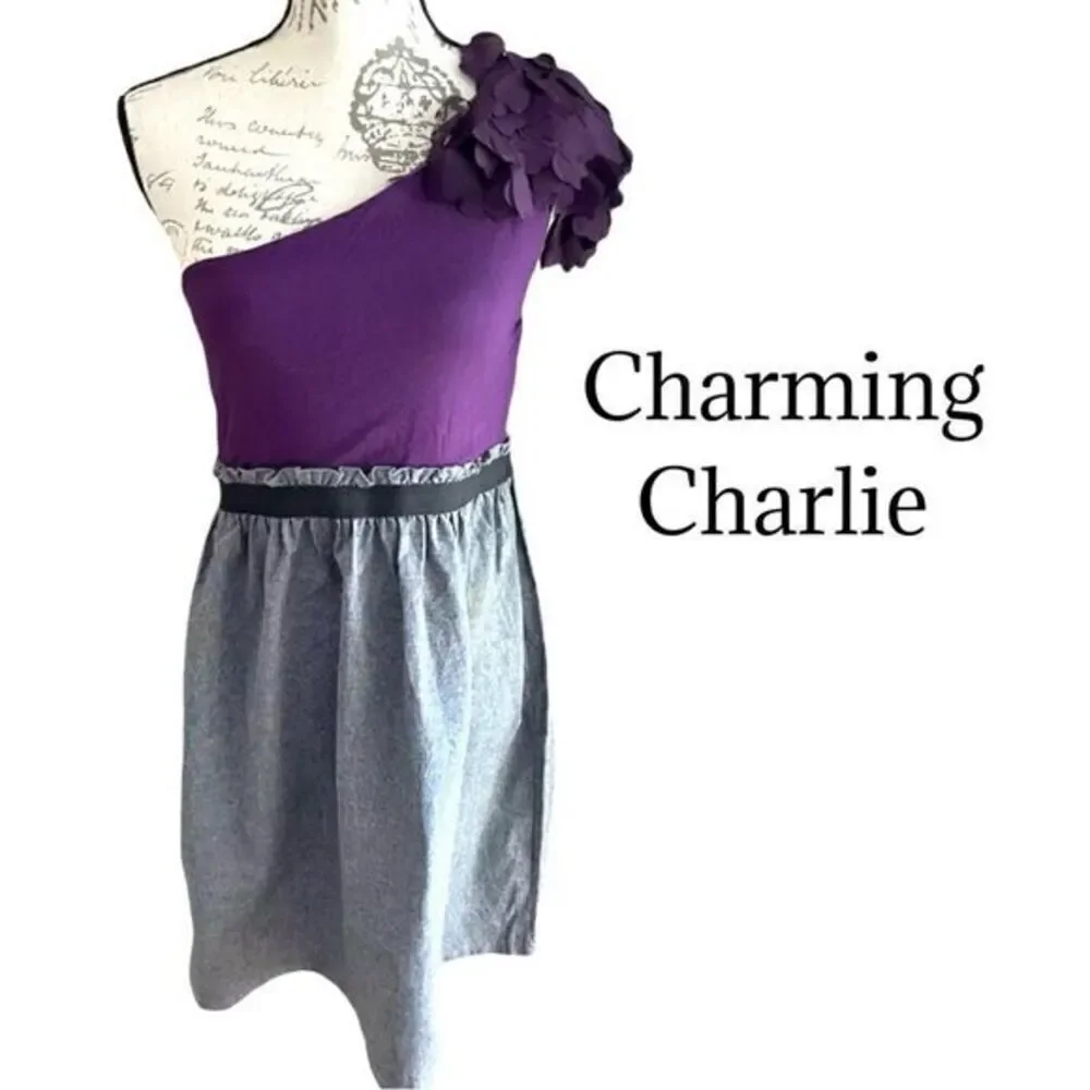 CHARMING CHARLIE Purple/Gray 3D Floral One Shoulder Color Block Dress Sz M NWT